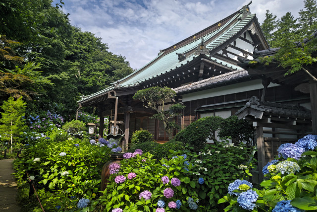 妙楽寺　【川崎市多摩区】